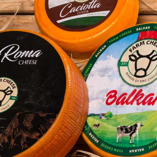 Hard Cheese